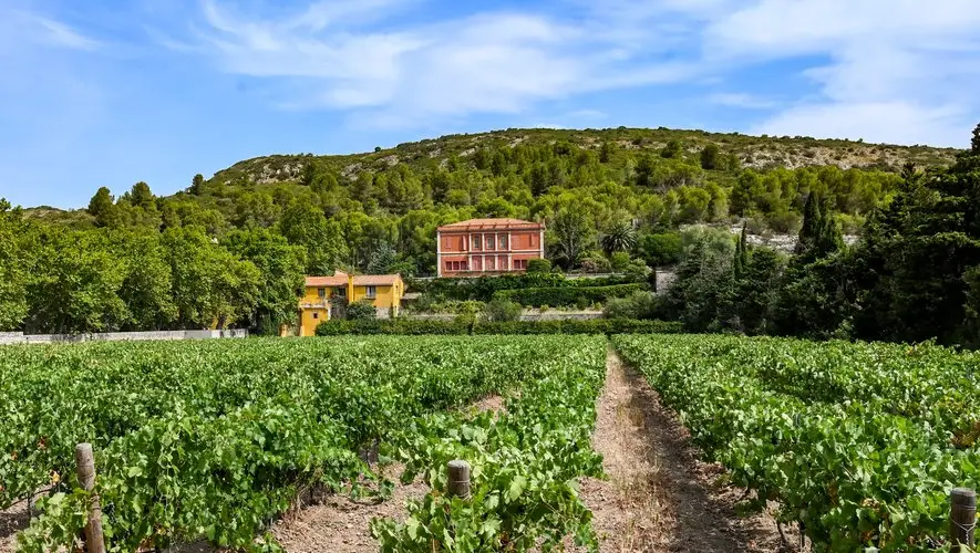 Château de Jau : Un Domaine d’Histoire, de Vin et de Culture dans les Pyrénées-Orientales