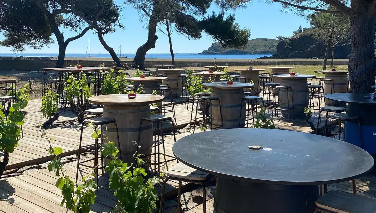 Clos de Paulilles : Un joyau viticole entre Collioure et Banyuls-sur-Mer