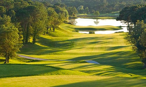 Golfs de la région