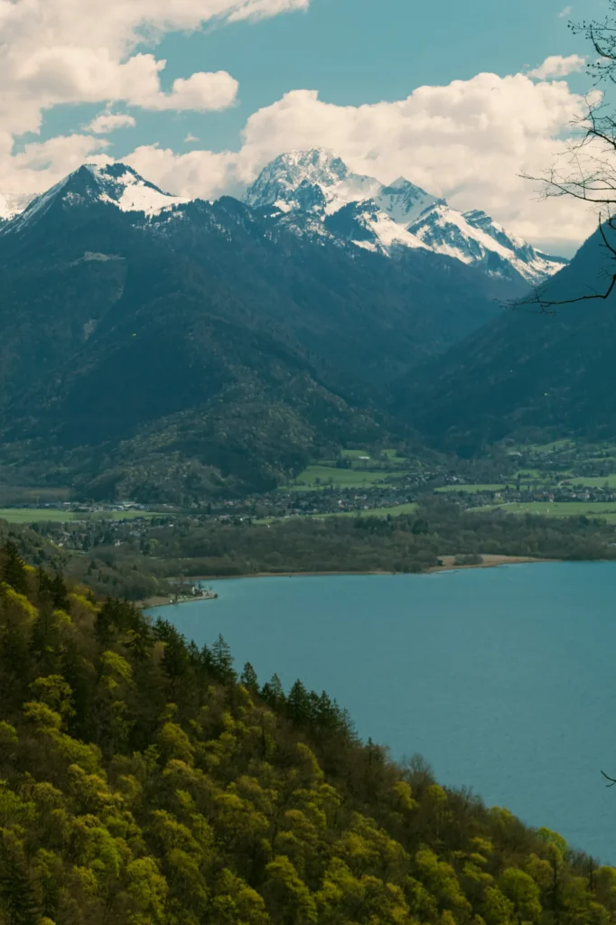 Le lac d’Annecy au pied des montagnes enneigées, vu depuis les hauteurs boisées