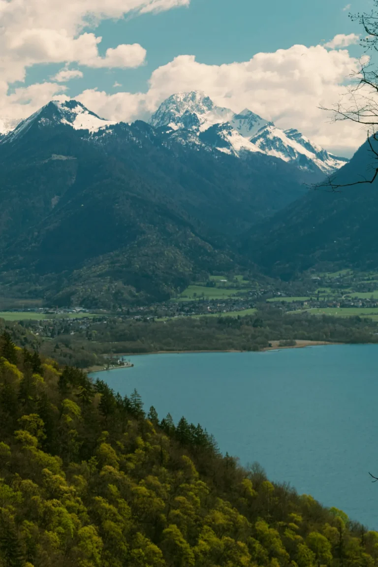 Le lac d’Annecy au pied des montagnes enneigées, vu depuis les hauteurs boisées