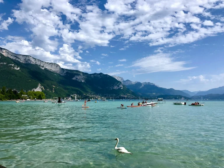 Paddle, bateaux et cygne sur les eaux turquoise du lac d’Annecy