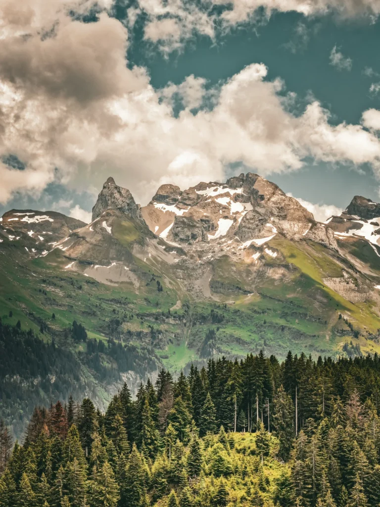 Sommets rocheux et forêts de sapins au printemps