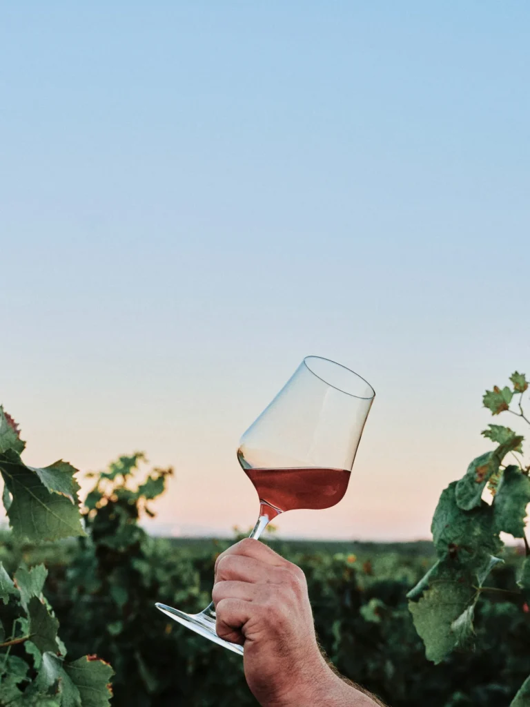 Vin du Roussillon